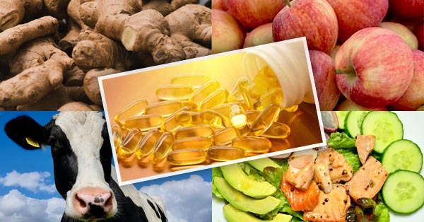 5 FOODS FOR HEALTHIER GUMS 5 FOODS FOR HEALTHIER GUMS