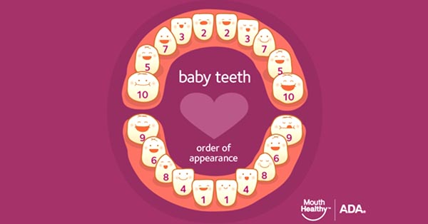 Baby Teeth Baby Teeth