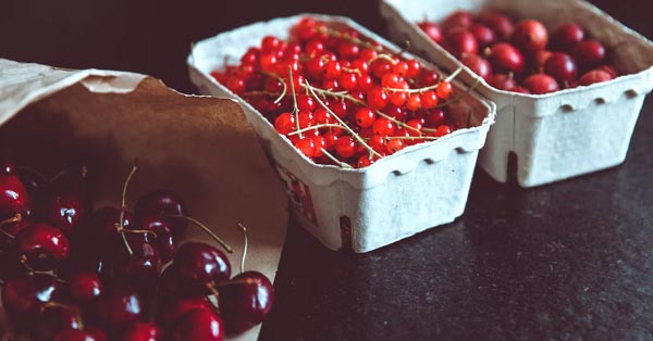 Cranberries and blueberries – why certain fruit extracts could provide the key to fighting tooth decay