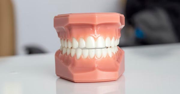 Do You Know The Importance Of Family Dental Care? Do You Know The Importance Of Family Dental Care?