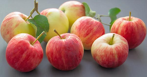 Foods That Fight Mouth Bacteria Foods That Fight Mouth Bacteria
