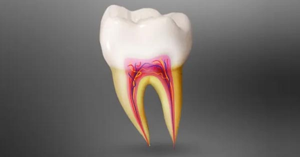 In Defense of Root Canals: The Unsung Hero of Dental Care In Defense of Root Canals: The Unsung Hero of Dental Care